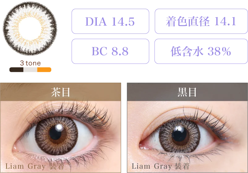 Liam Gray 着画&スペック