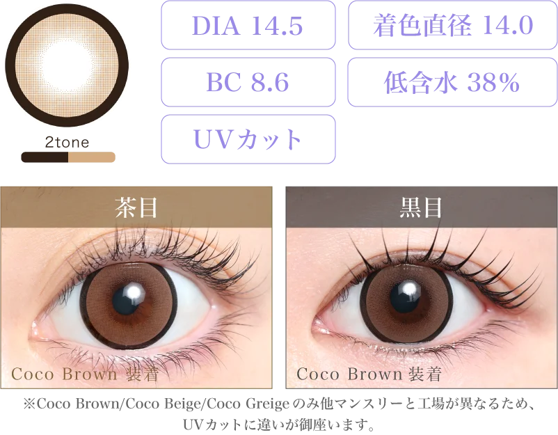 Coco Brown 着画&スペック