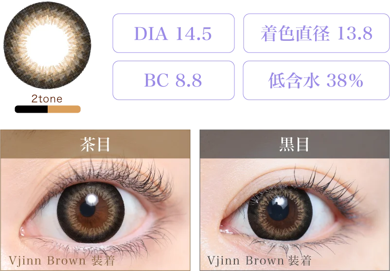 Vjinn Brown(14.5) 着画&スペック