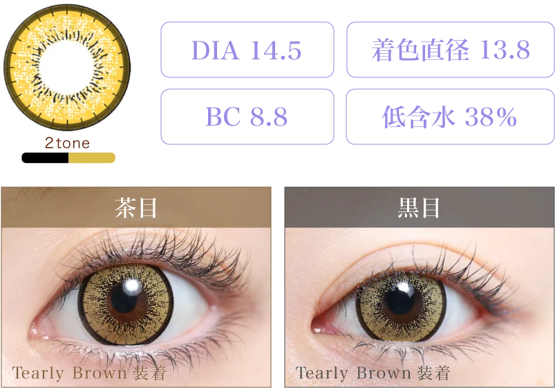 Tearly Brown 着画&スペック