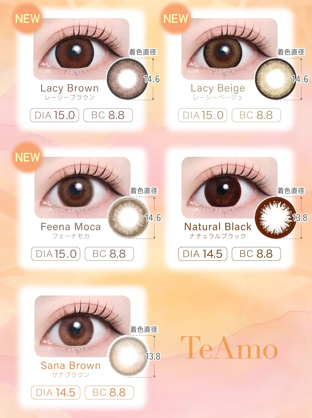 ラインナップ